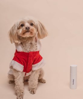 curology-WfoJE8gktAI-unsplash-min_2500x3378